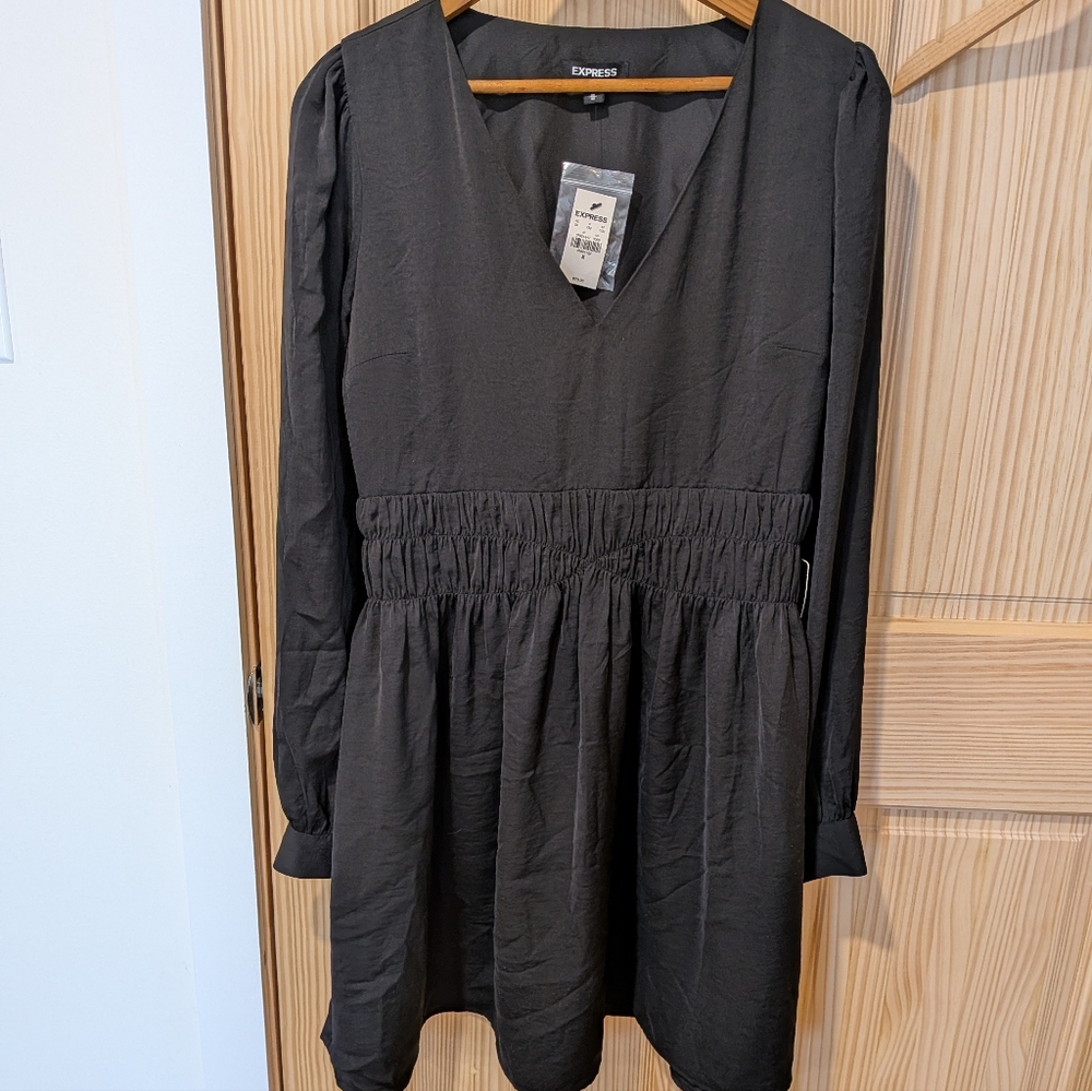 Express Black Gathered Waist Dress